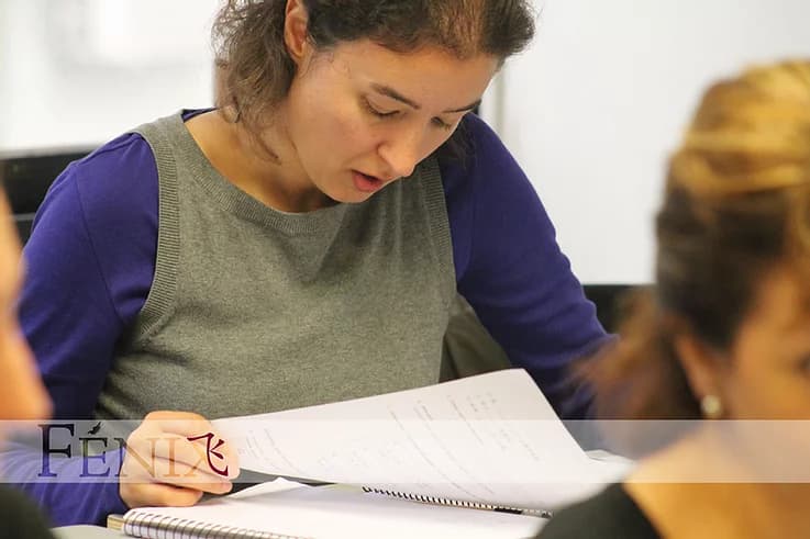 Student learning Chinese